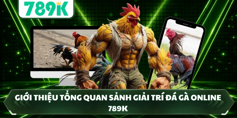 Giới thiệu tổng quan sảnh giải trí đá gà online 789K